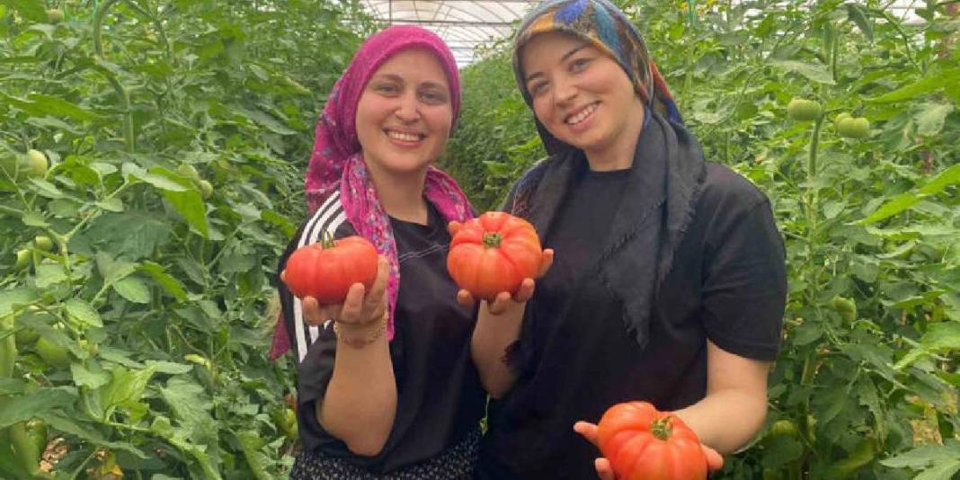 Üretimde aktif kadın eli! 550.000 ton ürün bekleniyor 2
